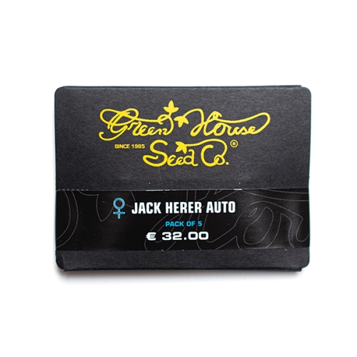 Nasiona konopi CBD - Jack Herer Auto (fem.) 5szt.