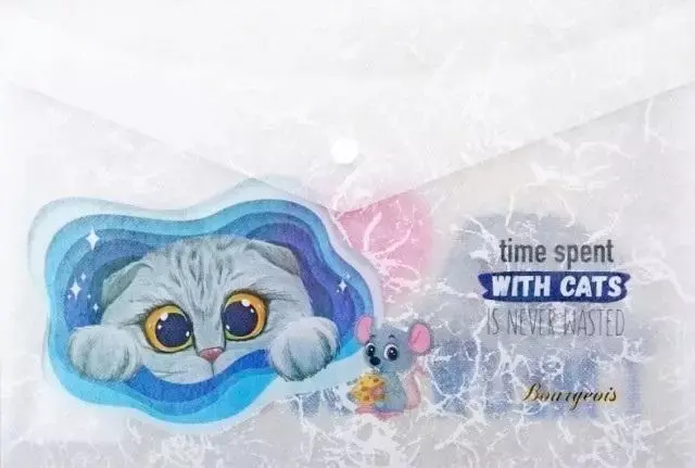 Teczka A4+ plastikowa z klipsem Kotek P0138 - Fresh