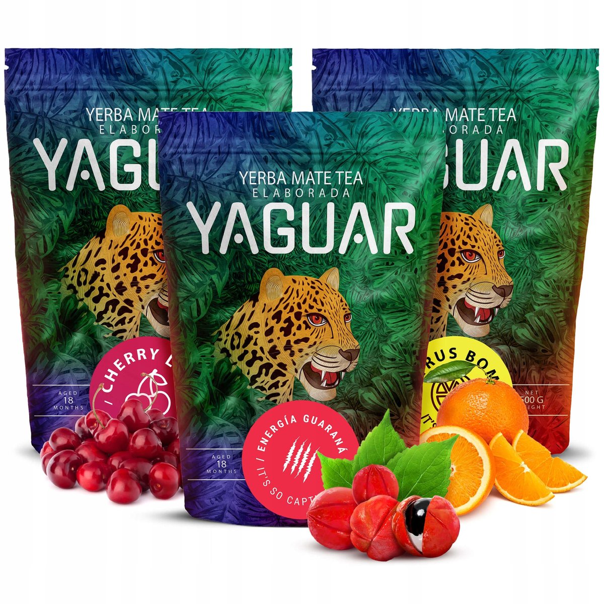 Yerba Mate 1,5KG NAJLEPSZE GATUNKI 1500g na START
