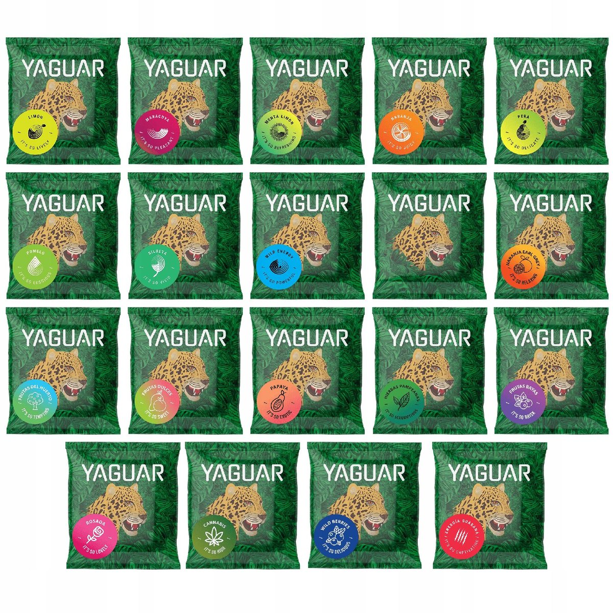Yerba Mate próbki 50g Yaguar porównaj smaki