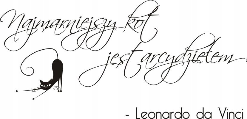 Napis na ścianę naklejka 150x75cm wybór koloru cytat da Vinci 134