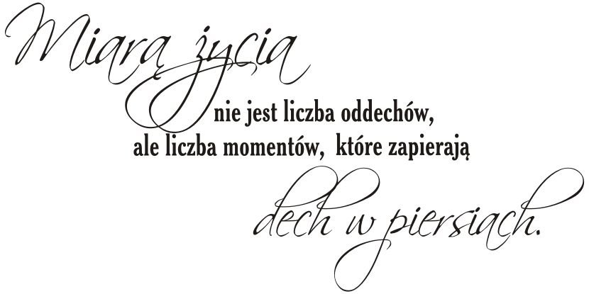 Napis na ścianę naklejka 150x75cm wybór koloru cytat - Miarą życia - 152