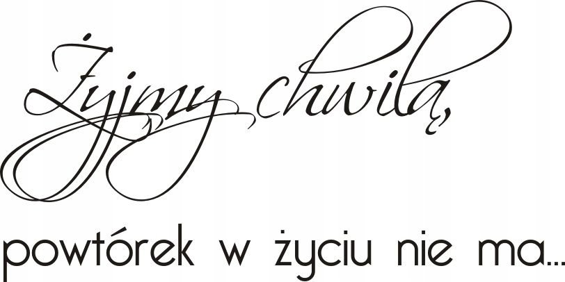 Napis na ścianę naklejka 150x75cm wybór koloru cytat - Żyjmy chwilą - 96