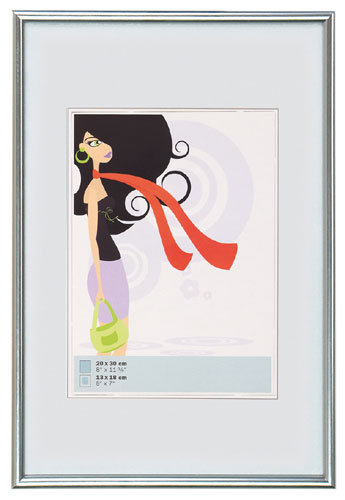 Walther New Lifestyle 21x30 Plastic silver KV130S