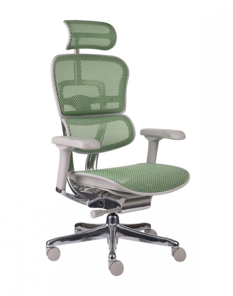 Fotel Ergohuman 2 Elite GS Green