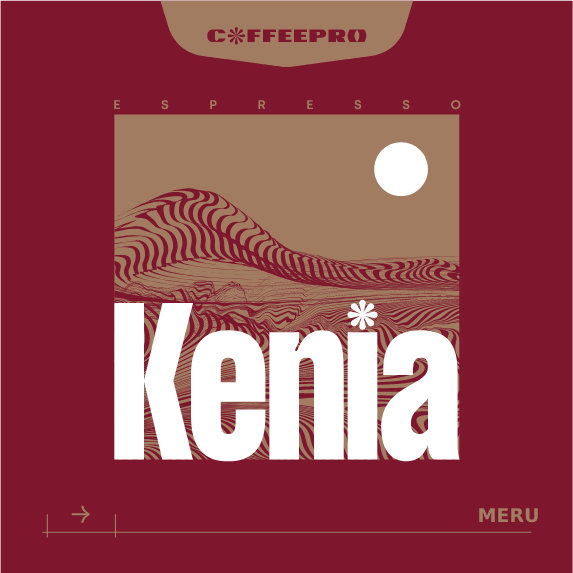 Kawa ziarnista CoffeePro Espresso Kenia Meru 250g