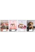 zeszyt a5/16k kratka the sweet pets (20szt)