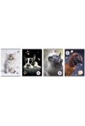 zeszyt a5/80k kratka the sweet pets (5szt)