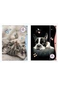 teczka z gumką a4 the sweet pets