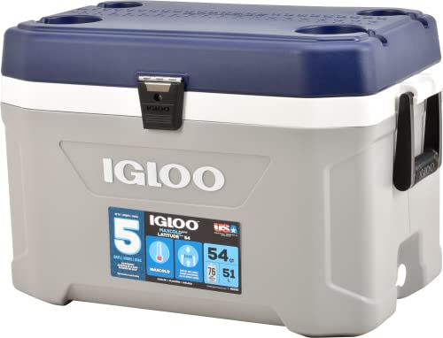 IGLOO MaxCold 54QT lodówka popielato-niebieska, 51 l, tworzywo sztuczne