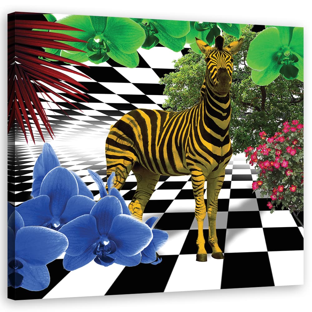 Obraz na płótnie, Kolorowa zebra natura zwierzęta (Rozmiar 50x50)