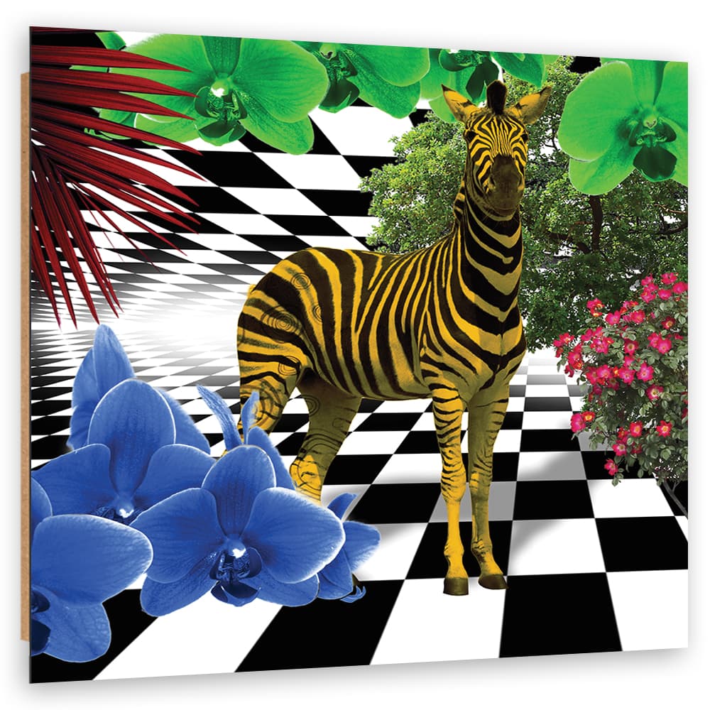 Obraz Deco Panel, Kolorowa zebra natura zwierzęta (Rozmiar 50x50)