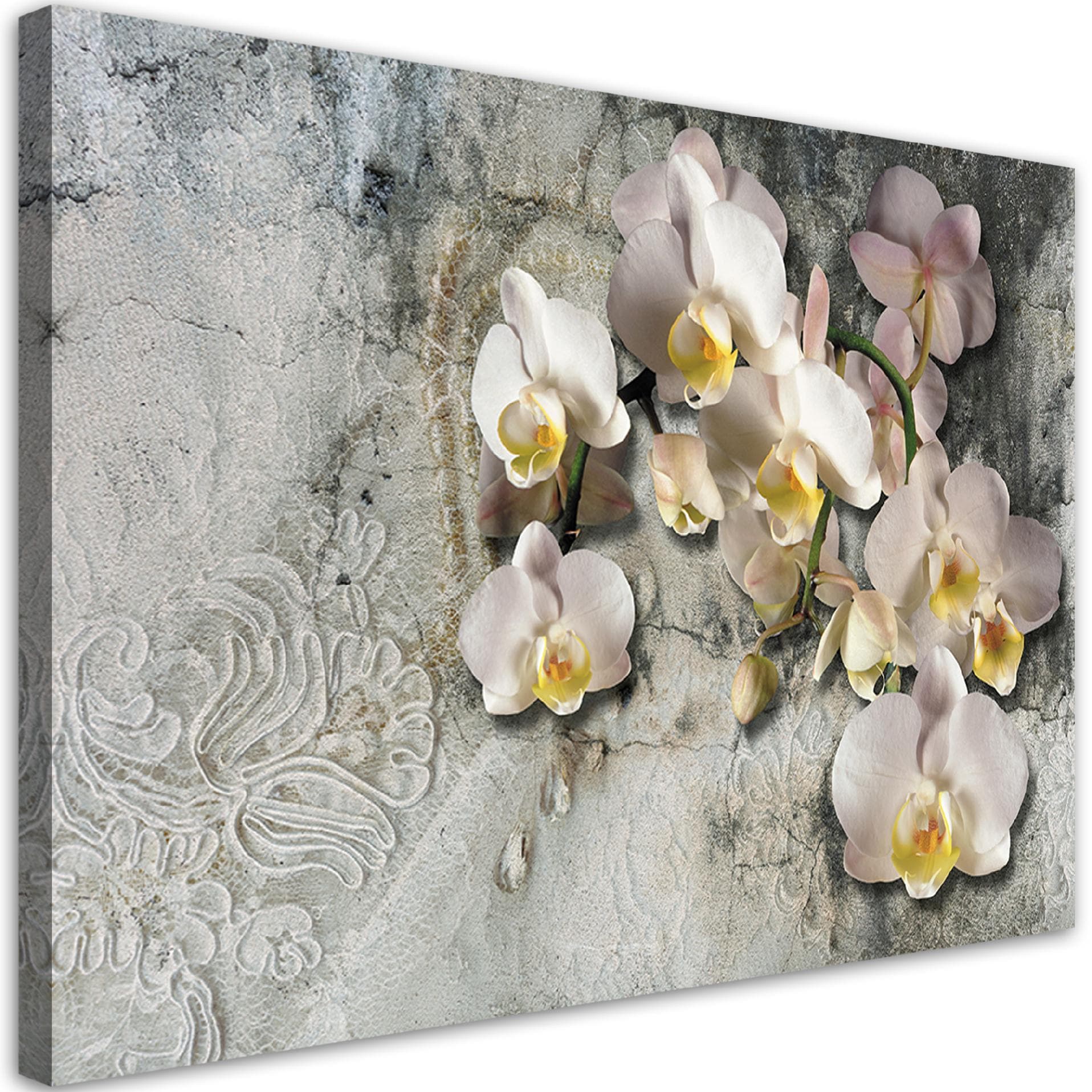 Obraz na płótnie, Słoneczne orchidee kwiaty (Rozmiar 60x40)