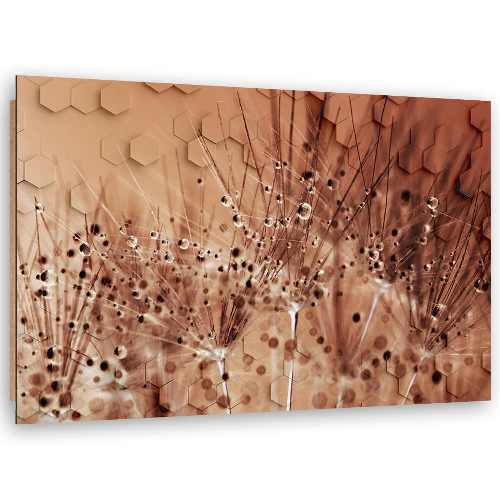 Obraz Deco Panel, Dmuchawce w kroplach rosy (Rozmiar 60x40)