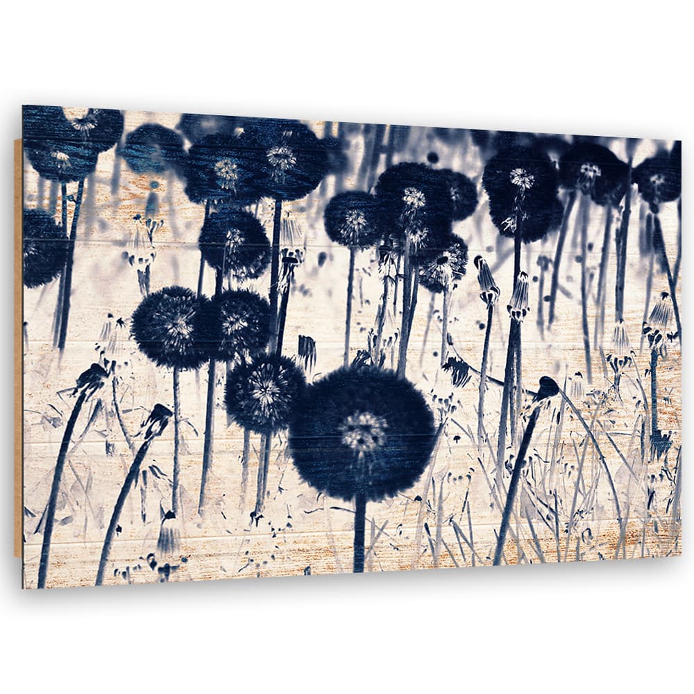 Obraz Deco Panel, Dmuchawce na starych deskach (Rozmiar 90x60)