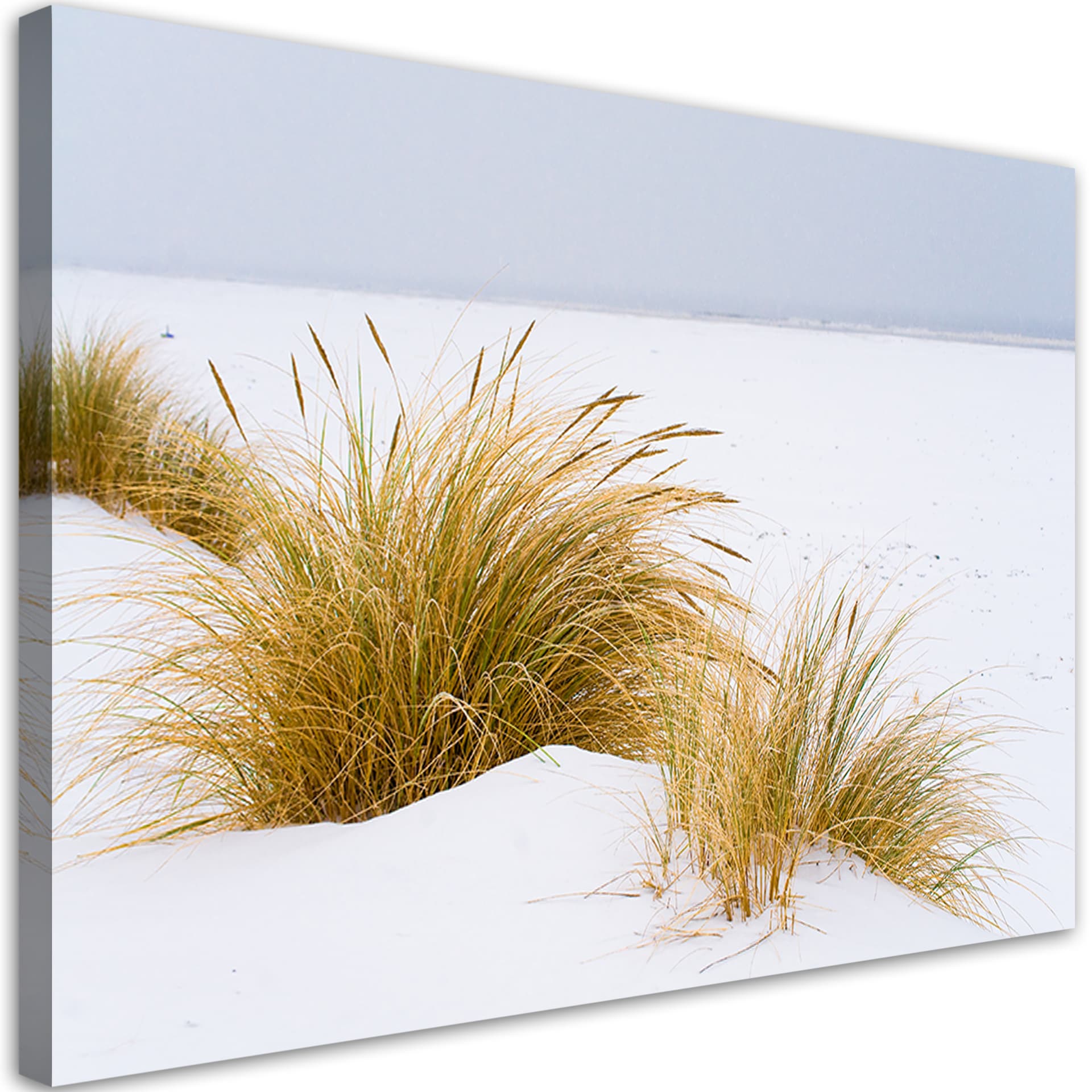 Obraz na płótnie, Wydmy na złotym piasku (Rozmiar 120x80)