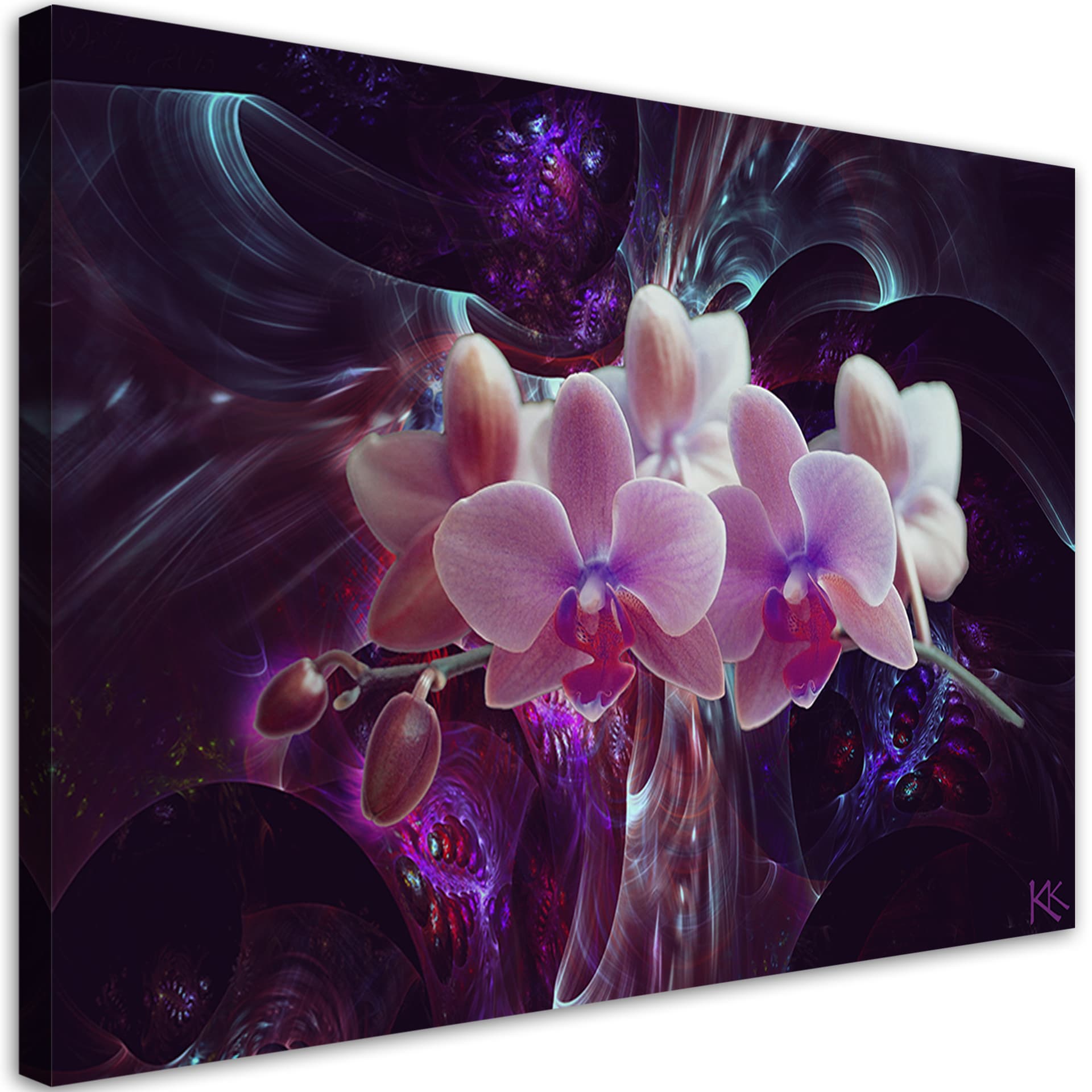 Obraz na płótnie, Biała orchidea na ciemnym tle (Rozmiar 60x40)