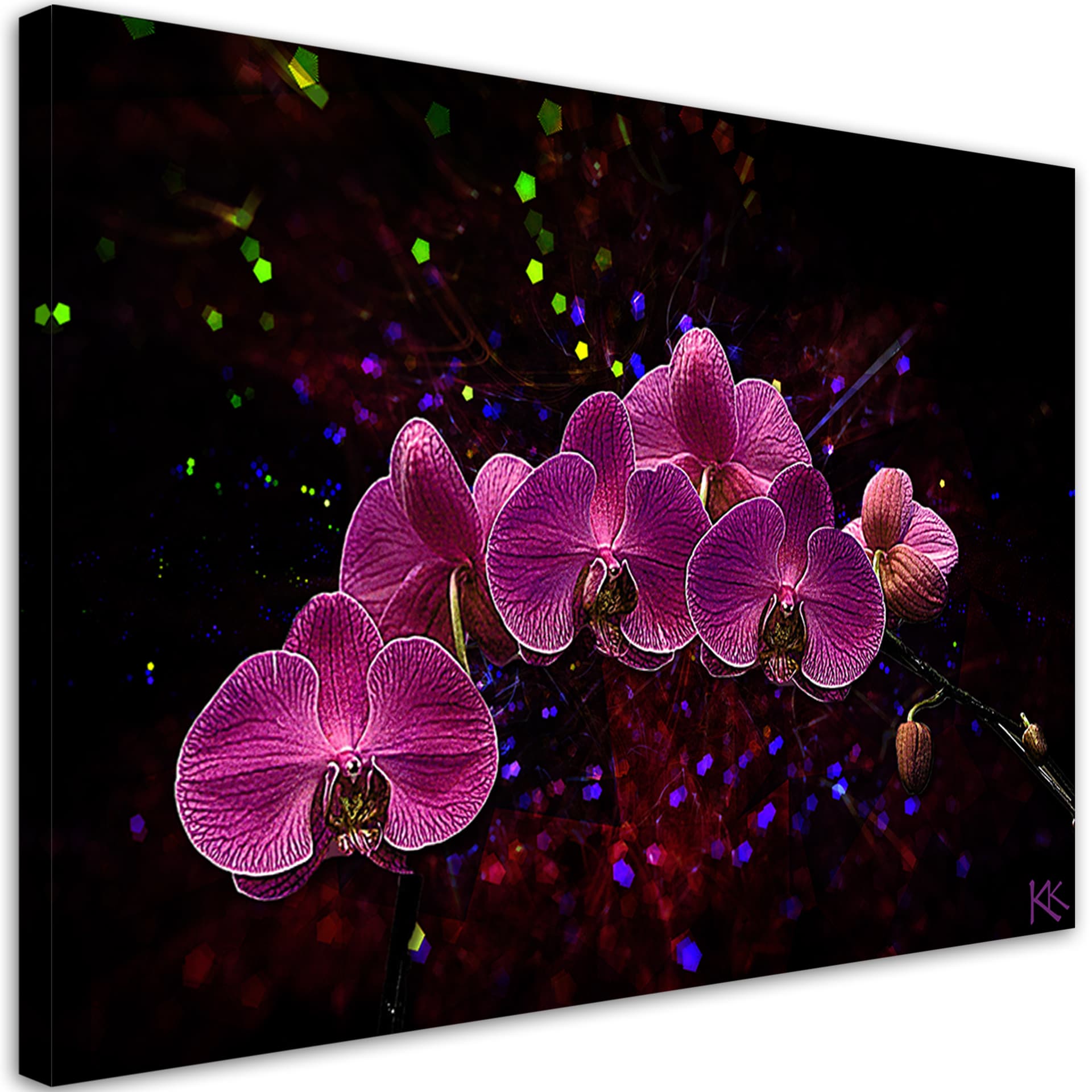 Obraz na płótnie, Orchidea na ciemnym tle (Rozmiar 120x80)