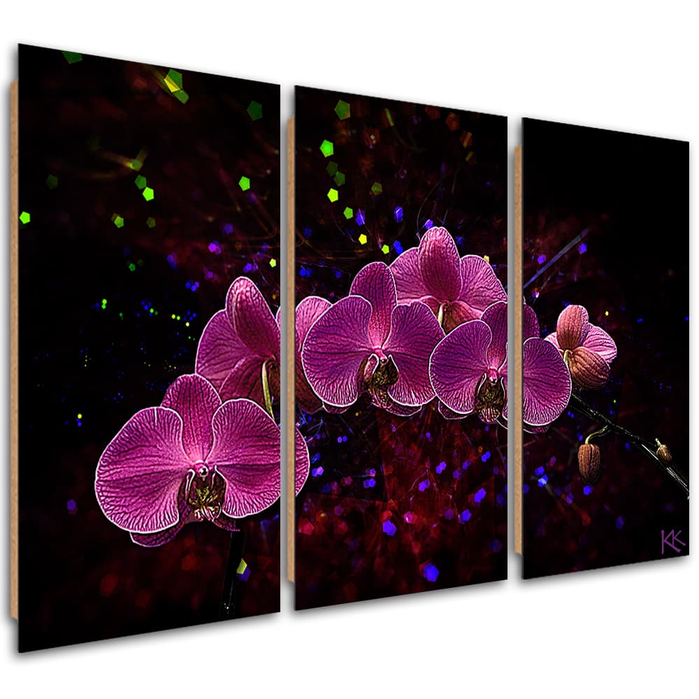 Obraz trzyczęściowy Deco Panel, Orchidea na ciemnym tle (Rozmiar 120x80)