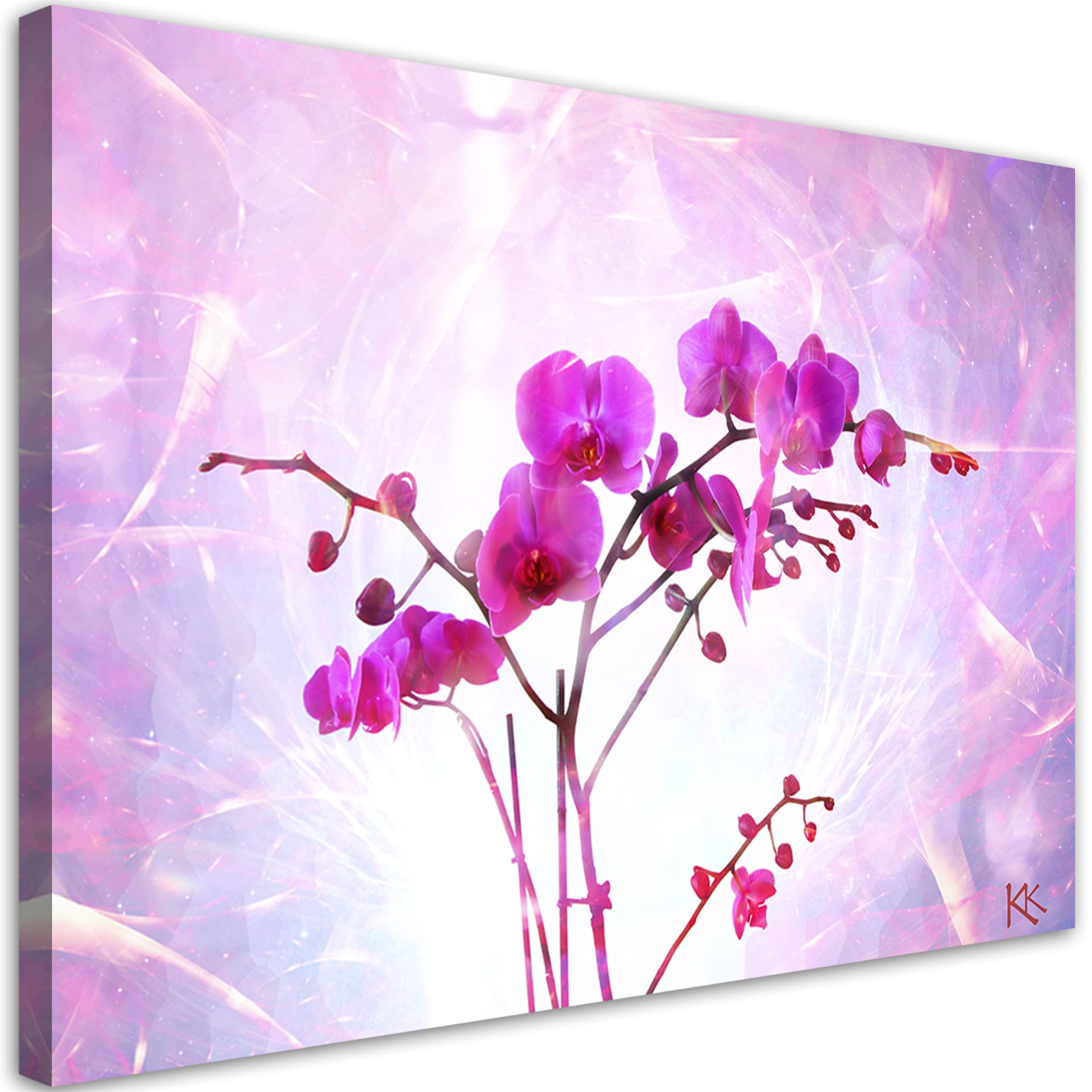 Obraz na płótnie, Eteryczna orchidea (Rozmiar 90x60)