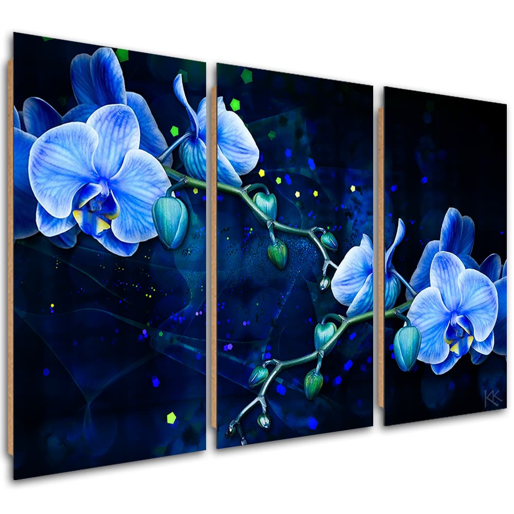 Obraz trzyczęściowy Deco Panel, Niebieski kwiat orchidei (Rozmiar 60x40)