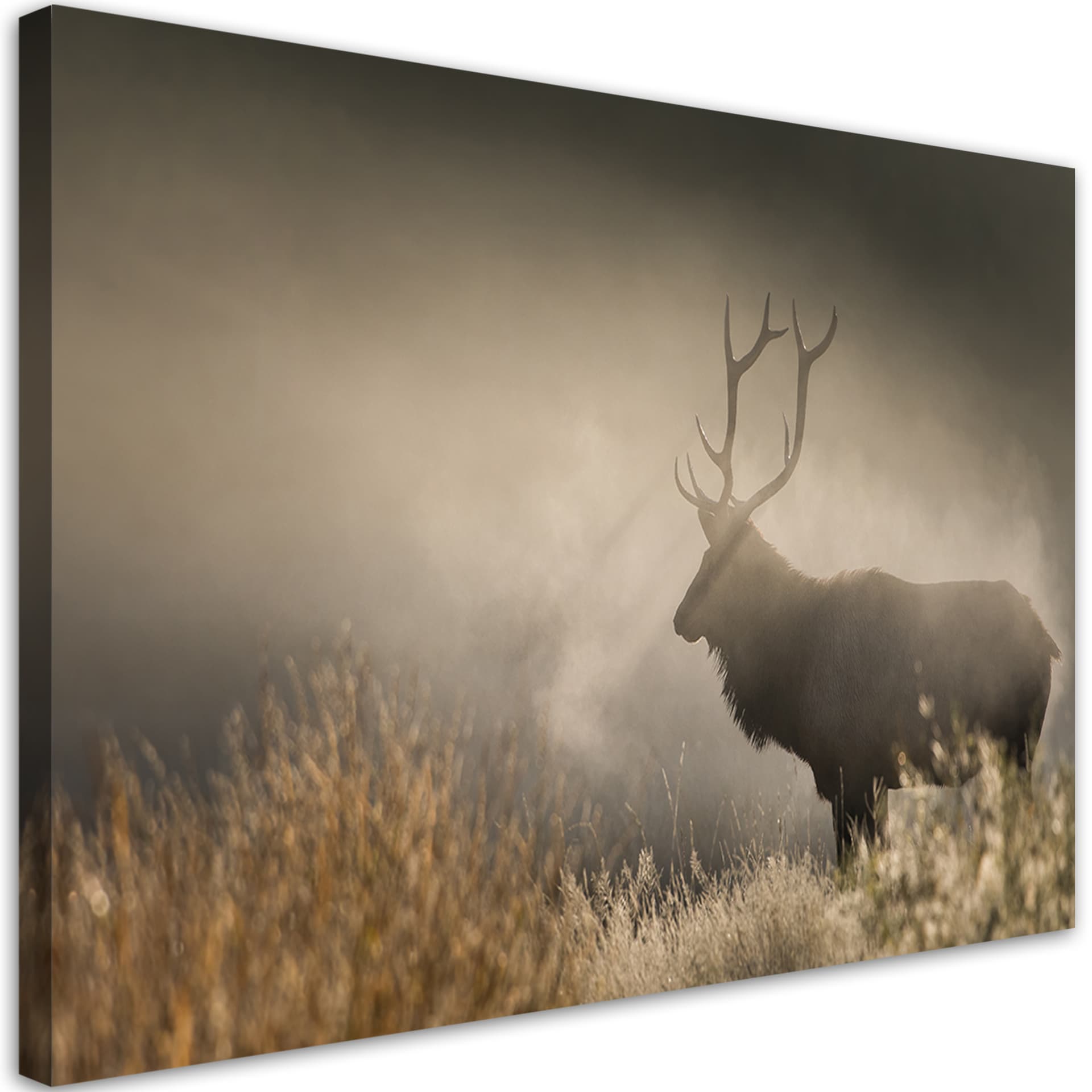 Obraz na płótnie, Jeleń we mgle natura (Rozmiar 120x80)