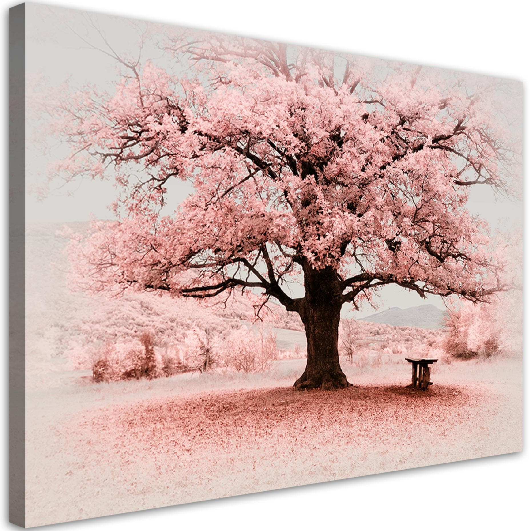 Obraz na płótnie, Różowe drzewo abstrakcja natura (Rozmiar 60x40)