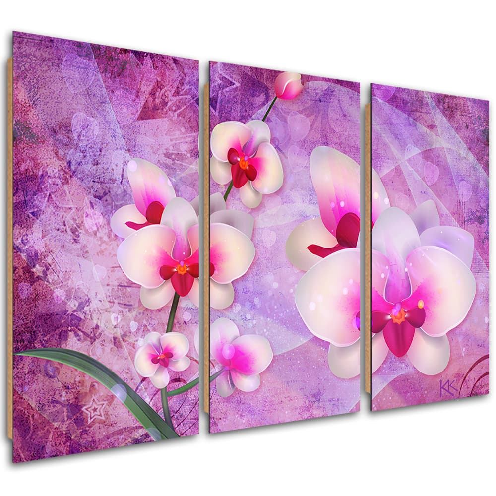 Obraz trzyczęściowy Deco Panel, Orchidea Kwiaty Abstrakcja (Rozmiar 150x100)