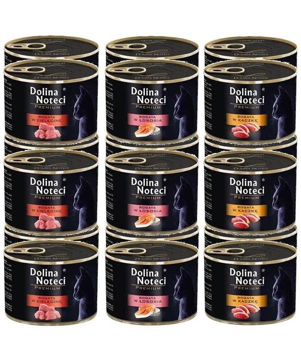 Dolina Noteci Premium dla kota Mix Smaków 24x185g