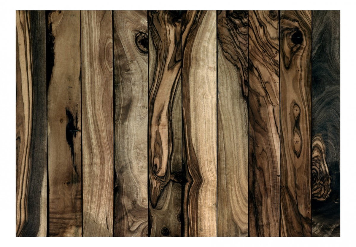 Fototapeta - Drewno oliwne (rozmiar 100x70)