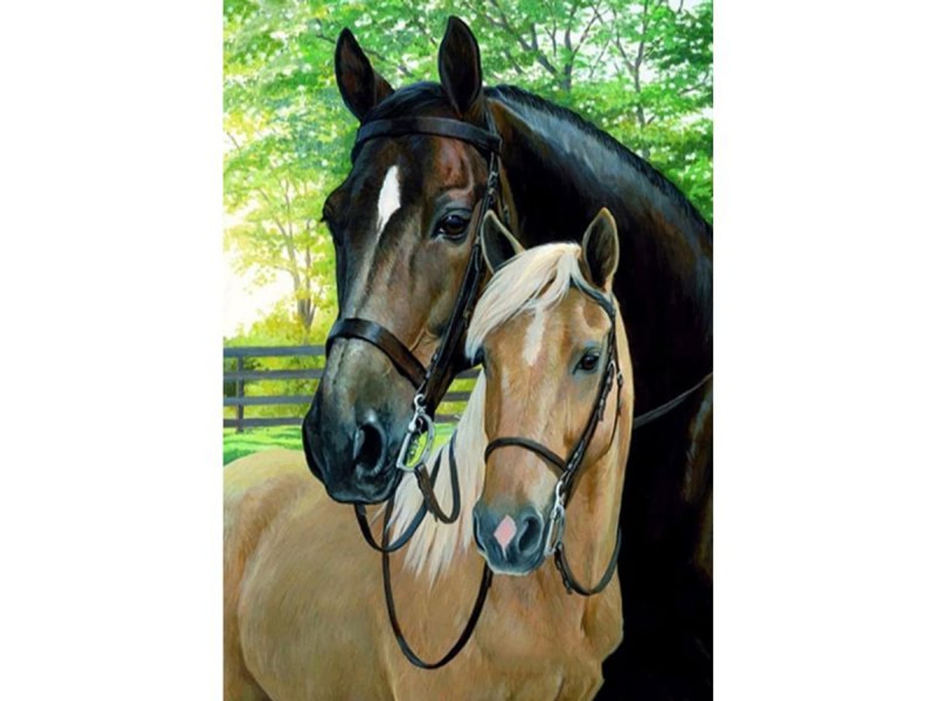 Malowanie po numerach - ranking 2026