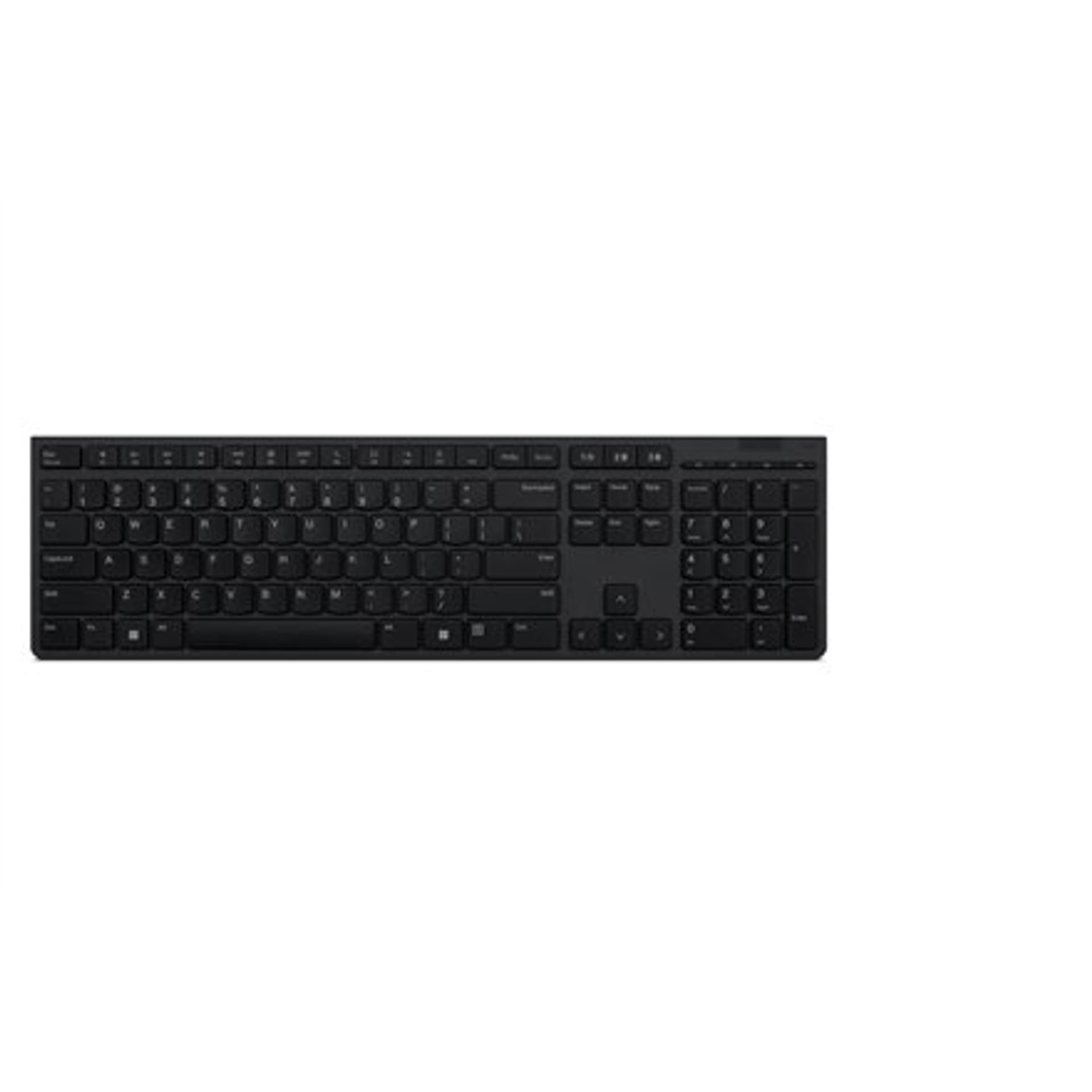 Lenovo Professional 4Y41K04075 NORD szara