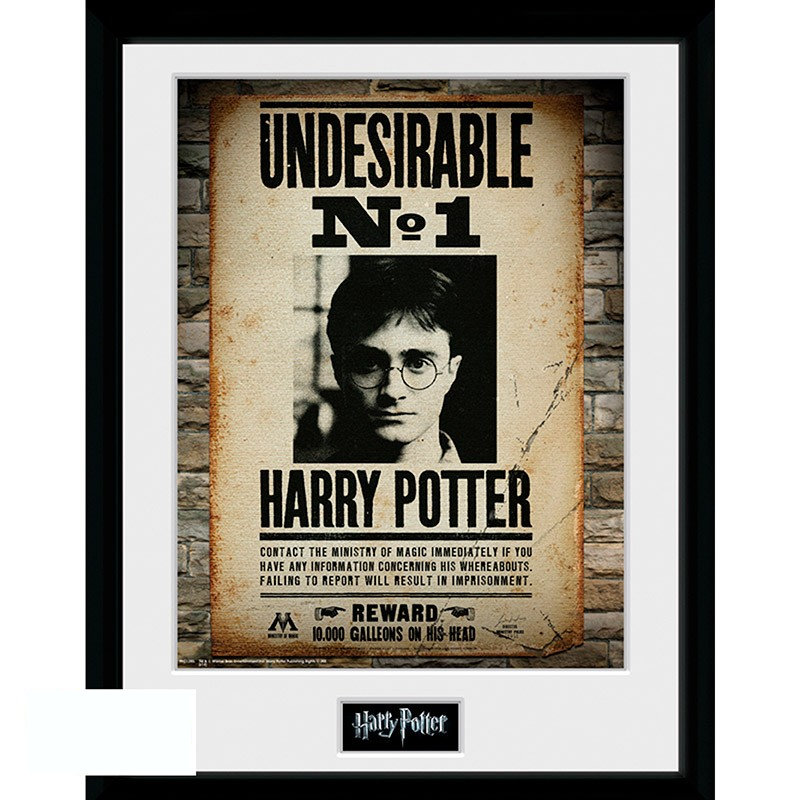 Plakat w ramce HARRY POTTER - 