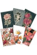 zeszyt flowers a4 z marginesem mix