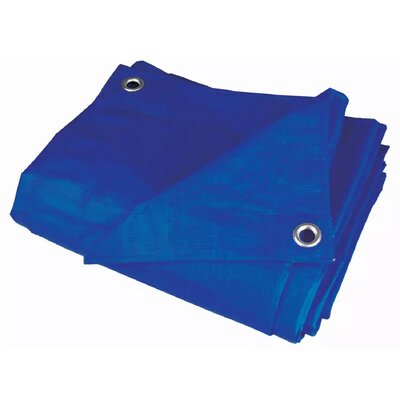 Plandeka DEDRA N05035 (3 x 5 m)