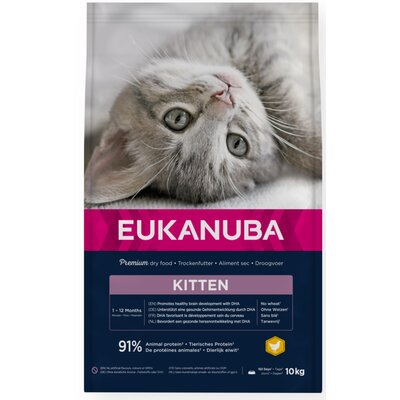 Eukanuba Cat Kitten All Breeds Healthy Start Chicken & Liver kurczak i indyk 10 kg