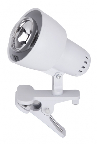 Rabalux 4356 - Lampa z klipsem CLIP 1xE14/40W/230V biały