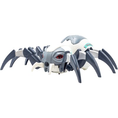 Pająk Arachus