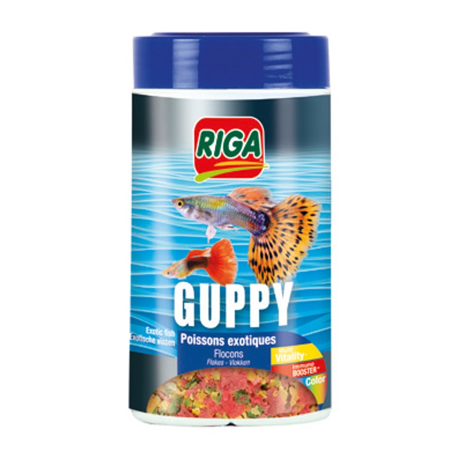 Riga - Guppy Pokarm dla gupików płatki