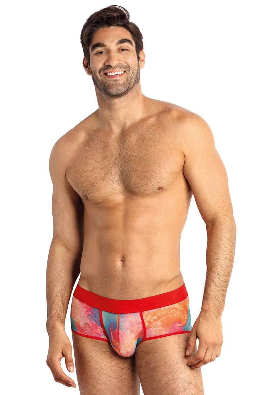 Falcon slipy hipstery męskie brief, Kolor multicolour, Rozmiar L, Anais - Intymna