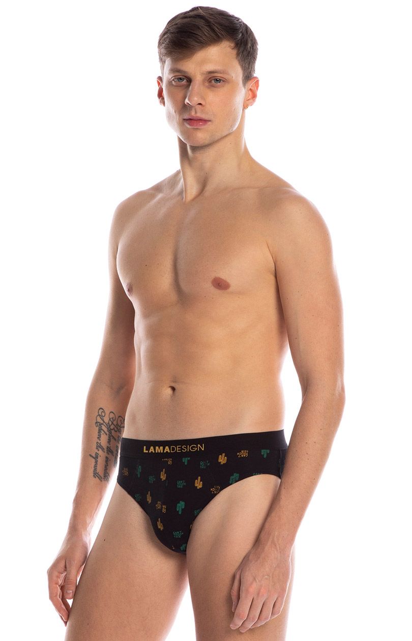 Bawełniane slipy męskie standard w print w kaktusy 2-pack M-1006SD, Kolor czarny-wzór, Rozmiar L, LAMA - Intymna