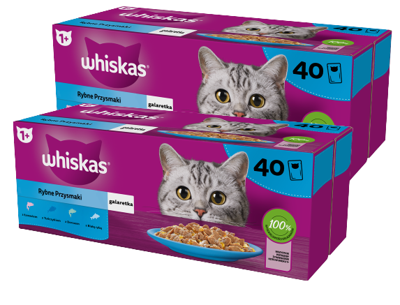 WHISKAS Adult saszetki 80 x 85 g Rybne Przysmaki - mokra karma dla dorosłego kota, w galaretce (kawałki z: łososiem, tuńczykiem, dorszem, białą rybą)