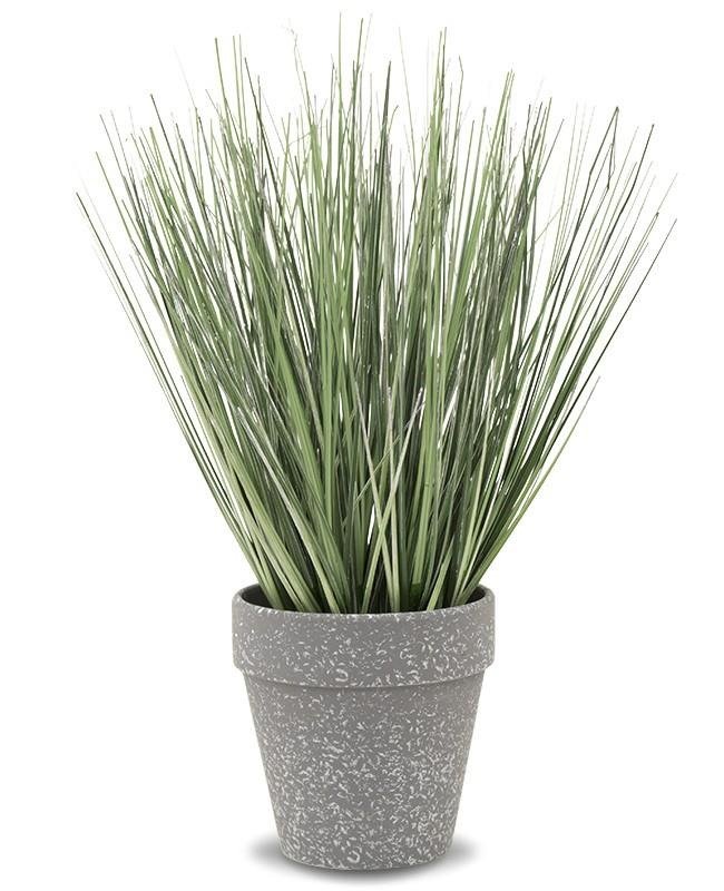 Roślina Dekoracyjna, zielona, 40x28x28 cm