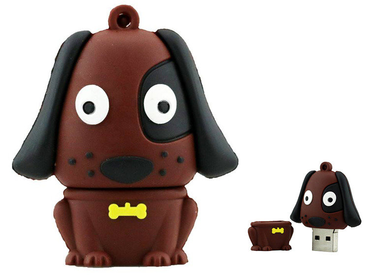 Pendrive DR.MEMORY Pies, 32 GB