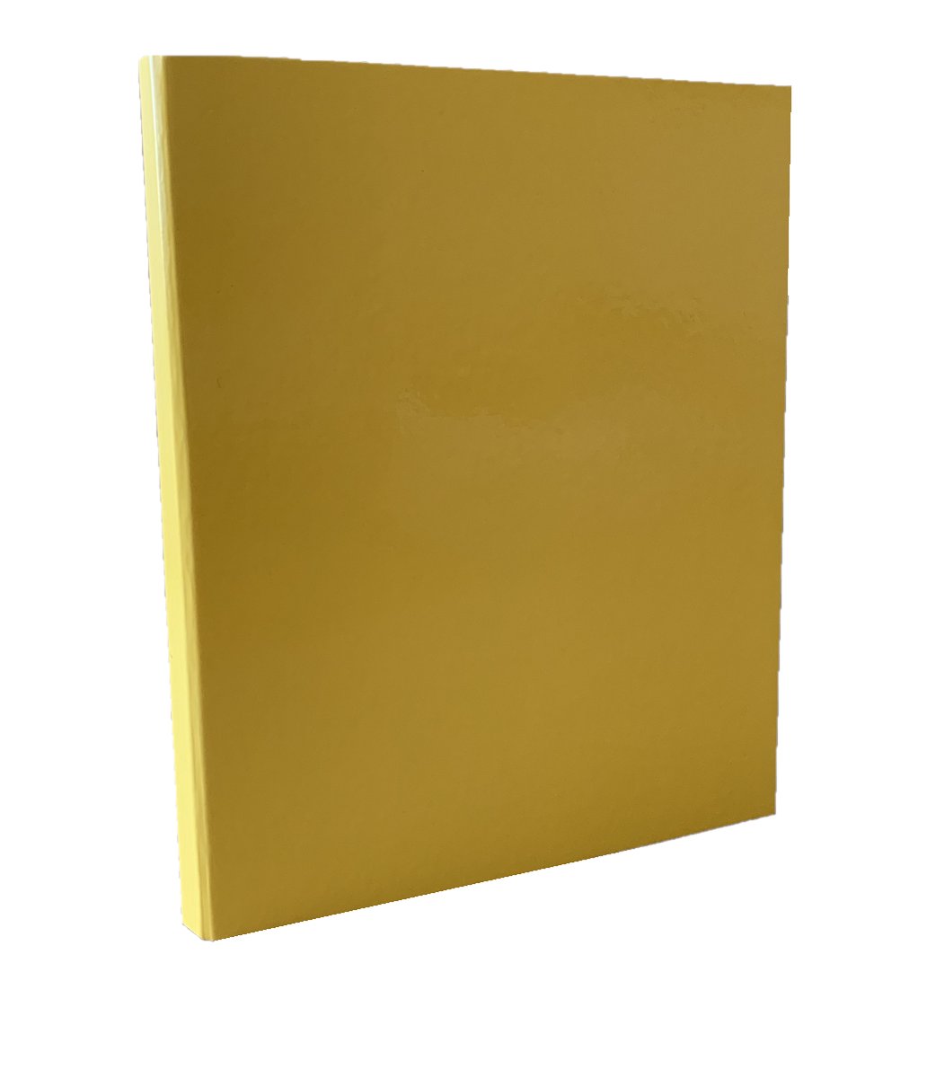 ADELANTE Segregator  Segregator 2-ringowy A4 2cm żółty