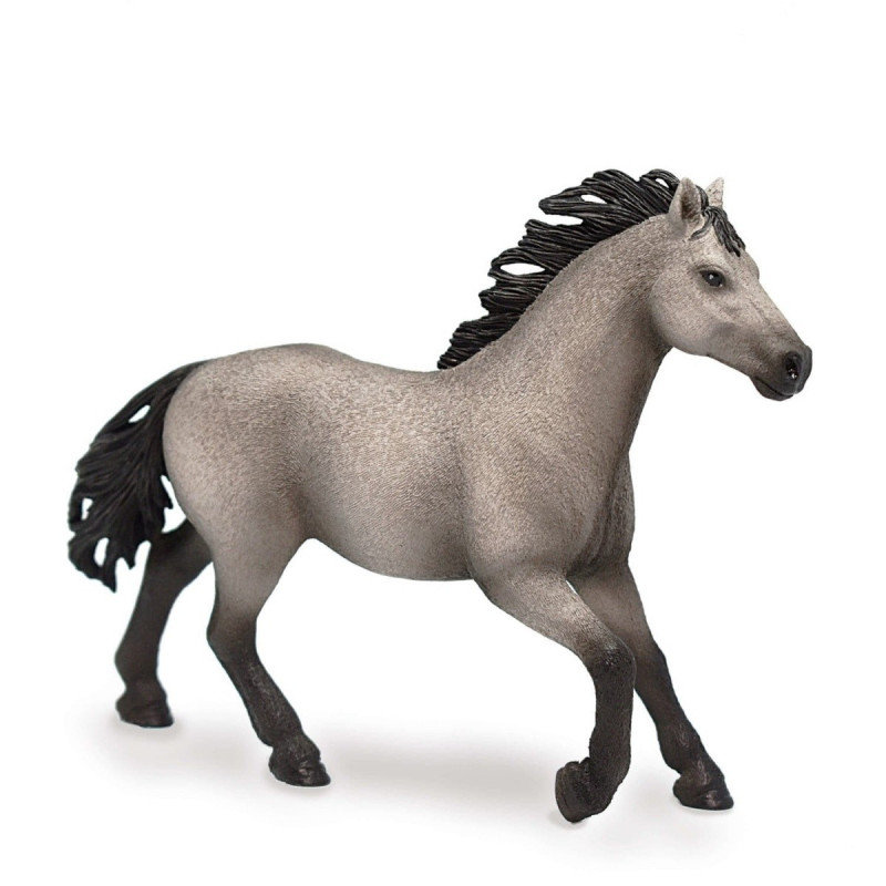 Quarter Horse Club