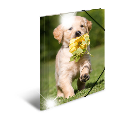 Herma Teczka A3 Glossy Hund