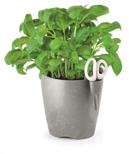 Prosperplast Doniczka Na Zioła Limes Uno 1,3l Beton PPDLU130-422U