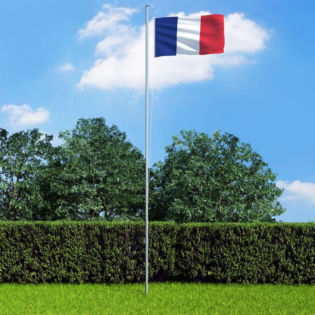 vidaXL vidaXL Flaga Francji, 90x150 cm