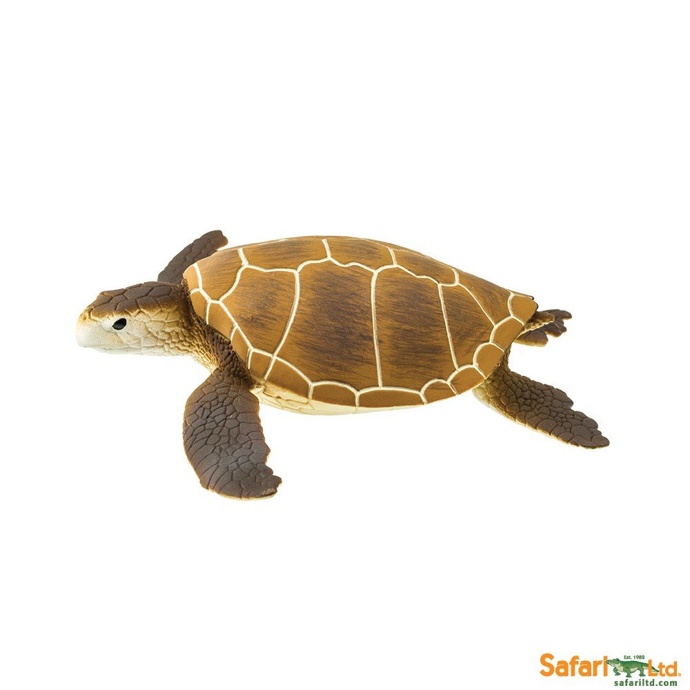 Safari Żółw Morski Zielono Brązowy - Ltd. - 202329